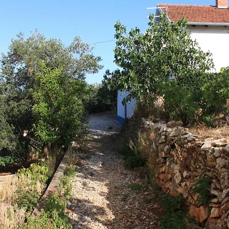 By The Sea Kali, Ugljan - 8203 * קאלי