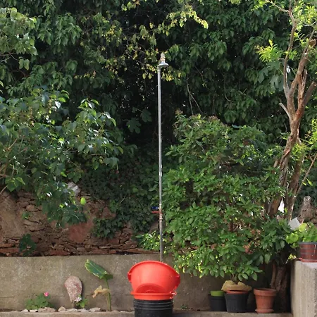 By The Sea Kali, Ugljan - 8203 * קאלי