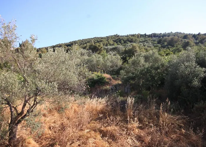 By The Sea Kali, Ugljan - 8203 Kali