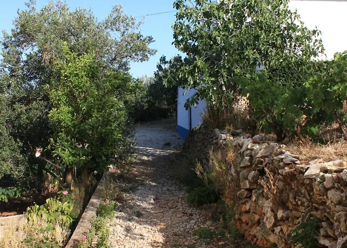 By The Sea Kali, Ugljan - 8203 * Kali