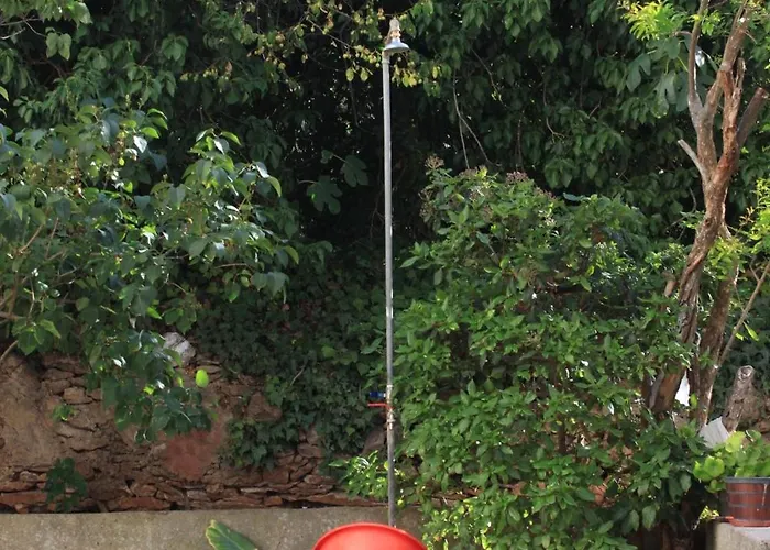 By The Sea Kali, Ugljan - 8203 * Kali